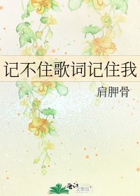 《记不住歌词记住我》