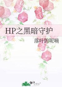 HP之黑暗守护