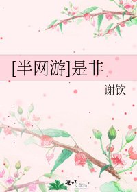 [半网游]是非