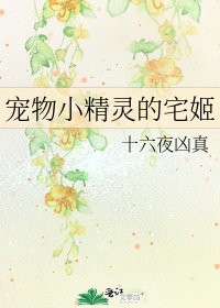 《宠物小精灵的宅姬》