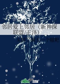 邻居爱上邻居（新神探联盟/正泽）