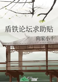 盾铁论坛求助贴
