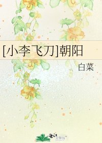 [小李飞刀]朝阳