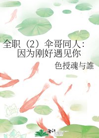 全职(2)伞哥同人:因为刚好遇见你
