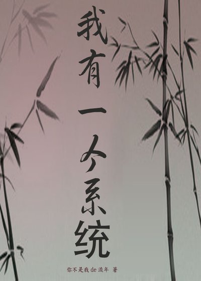 我有一个系统