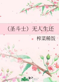 《(圣斗士)无人生还》