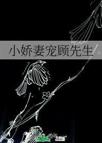 《小娇妻宠顾先生》