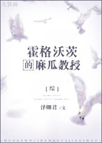 [综]霍格沃茨的麻瓜教授