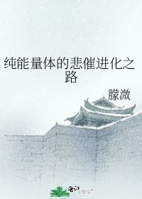 纯能量体的悲催进化之路