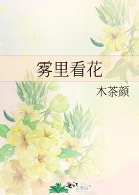 雾里看花