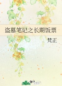 盗墓笔记之长期饭票