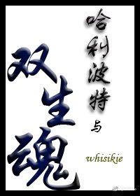 哈利·波特与双生魂