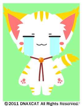 《招财》