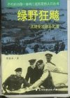 《绿野狂飚——从诺曼底到易北河》