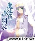 《位面猎奴之魔法禁书》