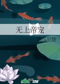 《无上帝宠》