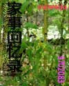 《遍地桃花》