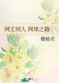网王同人 网球之路