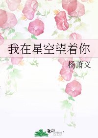 《我在星空望着你》