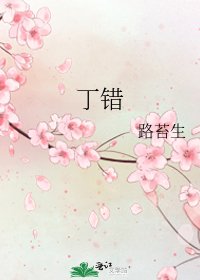 《丁错》