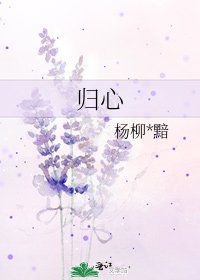 《归心》