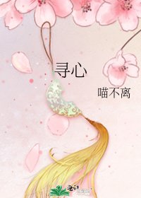 《寻心》
