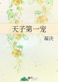 《天子第一宠》