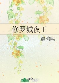 《修罗城夜王》