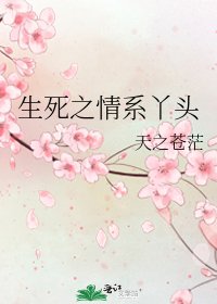 《生死之情系丫头》