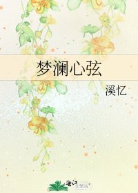 《梦澜心弦》