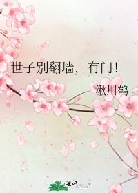 世子别翻墙，有门！