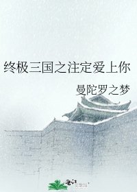 终极三国之注定爱上你