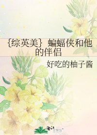 {综英美}蝙蝠侠和他的伴侣