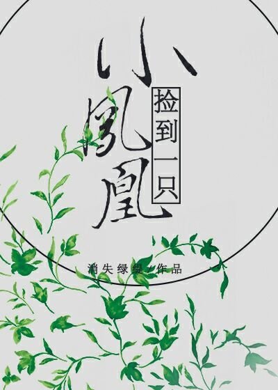 捡到一只小凤凰
