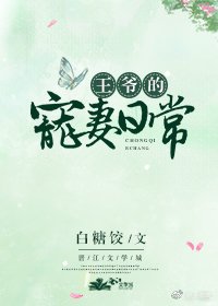 《王爷的宠妻日常》