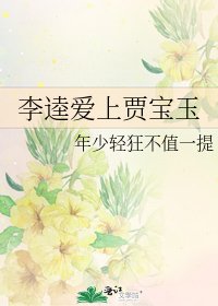 《李逵爱上贾宝玉》
