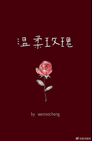 温柔玫瑰[娱乐圈]