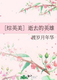 ［综英美］逝去的英雄