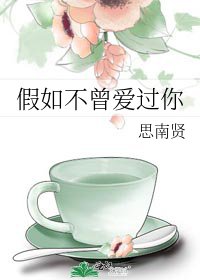 假如不曾爱过你