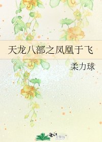 天龙八部之凤凰于飞