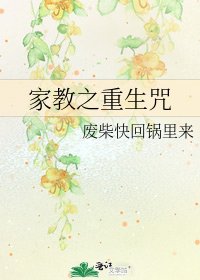 家教之重生咒