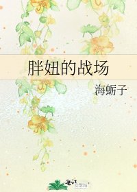 胖妞的战场