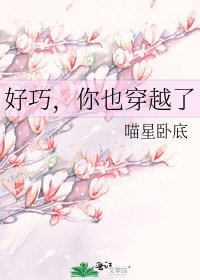 《好巧,你也穿越了》