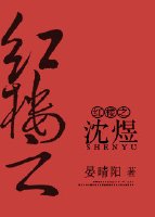 红楼之沈煜