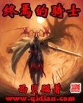 《终焉的骑士》