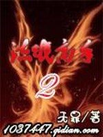 《流氓高手II》