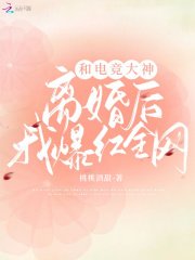 《和电竞大神离婚后我爆红全网》