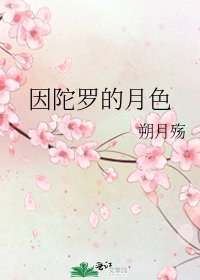 《因陀罗的月色》