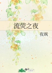 《流荧之夜》