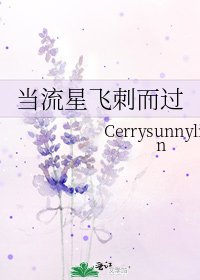《当流星飞刺而过》
